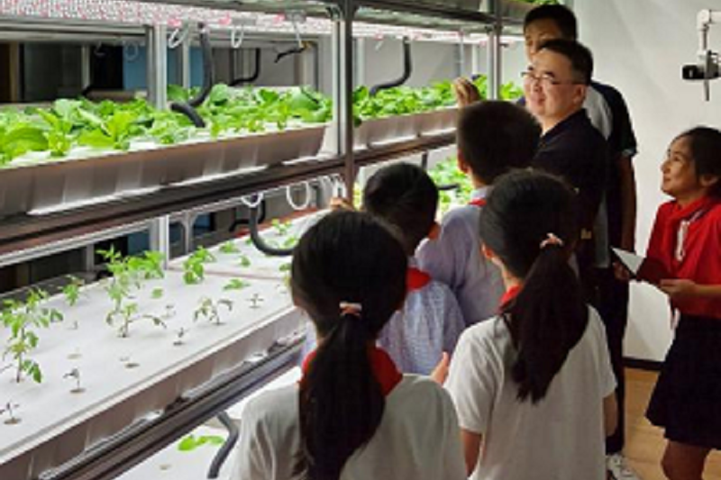 郑州完美真人电子设计创新实验室开放参观！中小学生现场观看操作无土栽培新技术